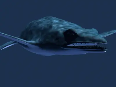 Platecarpus shark Low-poly 3D model