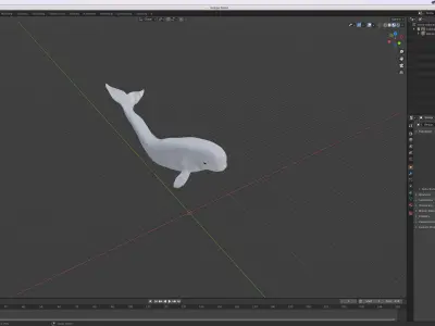 Beluga Whale Free 3D model