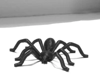 TEGENARIA DOMESTICA 3D print model