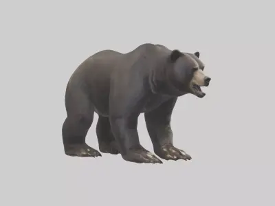 Bear Paws 3D model