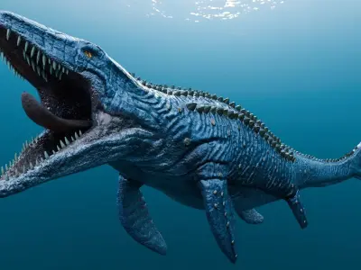 Low poly Realistic Dinosaur - Mosasaur Low-poly 3D model