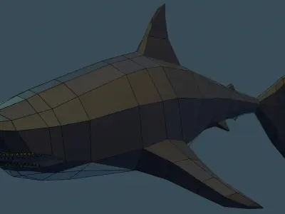 Shark Free low-poly 3D model
