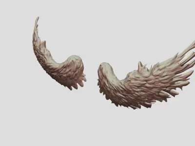 Feathered Bird or Angel Wings 3D model
