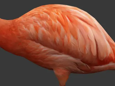 Flamingo Low-poly 3D model