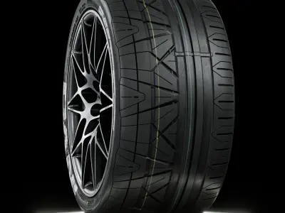 Nitto Invo 305 30 ZR19 Painted 3D model