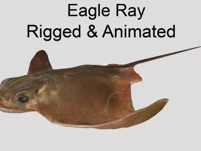 Eagle Ray Realistic Animated Low-poly 3D model