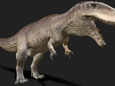 Carcharodontosaurus Low-poly 3D model