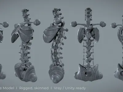 Robot Spine Free 3D model