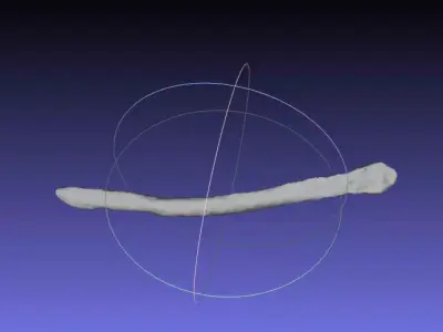 Psittacosaurus Right Dorsal Rib 3 Mirrored Free 3D print model