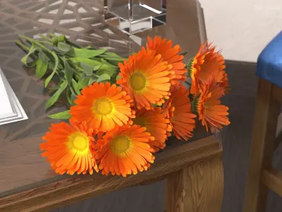 Calendula Flower Bouquet with Leaves Orange Fur 3D model