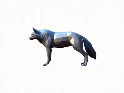 The Wolf Is A Powerful Intelligent Predator 3D model