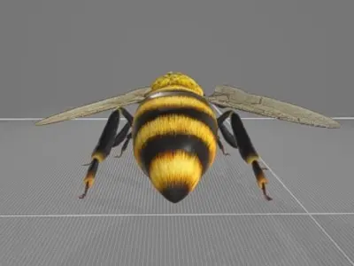 Bee Animation 3D model