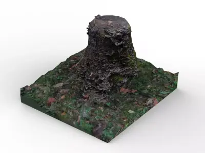 Tree trunk covered in mushrooms Free low-poly 3D model