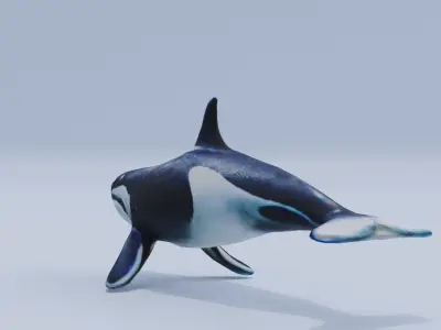 Orca Fish White Shark Low High Poly Low-poly 3D model