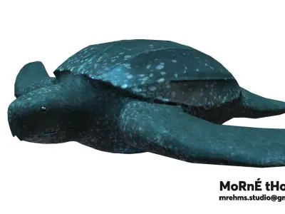 Leatherback Turtle Free 3D model