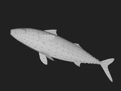 Mackerel Low-poly 3D model