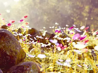 Flower plants Free 3D model