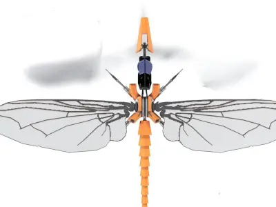 Insectride dragonfly Low-poly 3D model