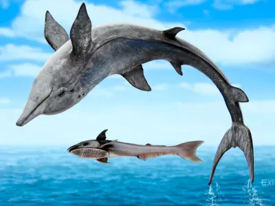 Dolphin and Remora - Realistic Animated Marine Monster - 62 Low-poly 3D model