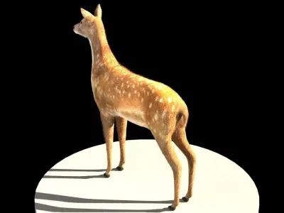 Deer 3d model Low-poly 3D model