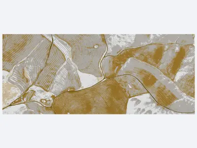 Wallpaper Birds Eye View Free 3D model