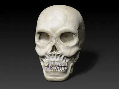 Human Skull Low-poly 3D model