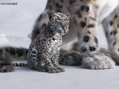 Snow Leopard Mother and Calf Fur 3D model purchase