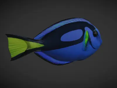 Fish Paracanthurus hepatus 1 Low-poly 3D model