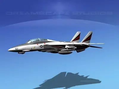 Grumman F-14D Tomcat T10a vf154 3D model