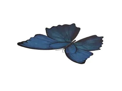 Butterfly v1 001 Low-poly 3D model