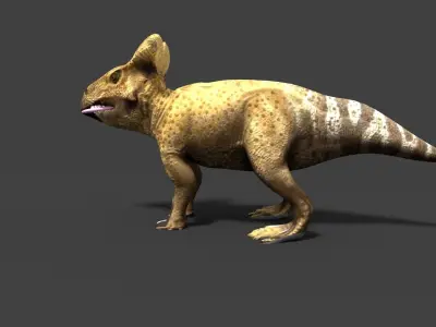protoceratops dinosaur 3D model