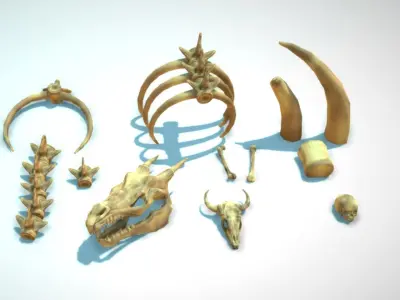 Skeletons pack Low-poly 3D model