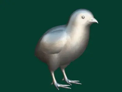 Baby Chicken Animal Low-poly 3D model