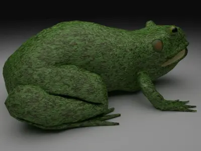 Rough Green frog - Cartoon Style Free low-poly 3D model