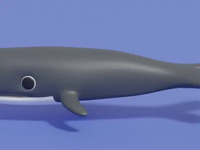 Cartoon Cute Whale 3D model