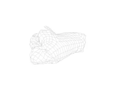 Raw Pig Leg Part Low-poly 3D model
