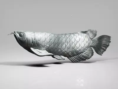 Arowana silver fish swimming in water Free 3D print model