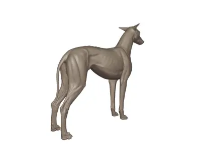 Greyhound sculpture 3D model