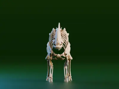 Realistic Ancient Reptilians Fossil - Parasaurus Low-poly 3D model