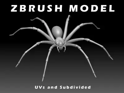 Brown Recluse Spider Low-poly 3D model