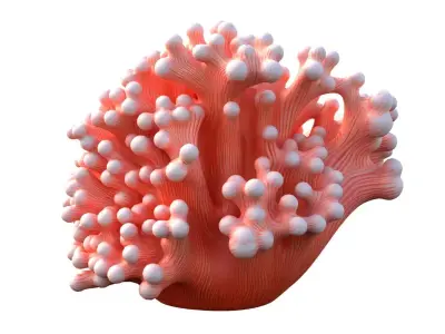 Coral reef collection 1-10 Low-poly 3D model