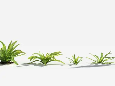 Plants Pack 7: Rainforest: GrowFX 3D model