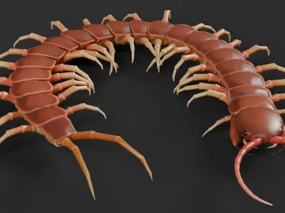Centipede RIG Blender and Maya Free low-poly 3D model