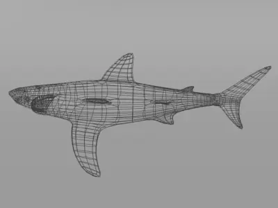 Great White Shark Low-poly 3D model