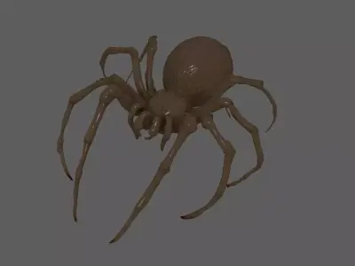Spider  3D model