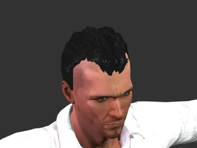 Hair models 3D model