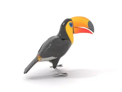 Vibrant Toucan Bird model pack Low-poly 3D model