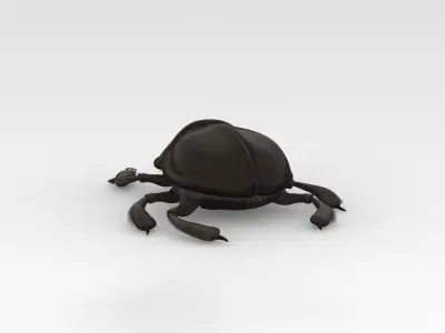 Egyptian Scarab 3D model