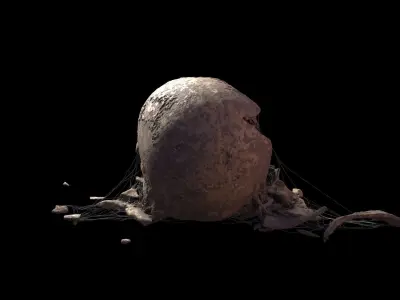 Broken Skull with Spider webs 8 3D model