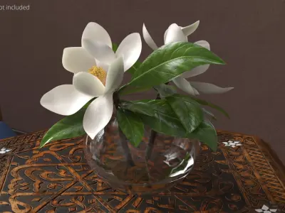 Transparent Glass Vase with White Magnolia Flowers 3D model